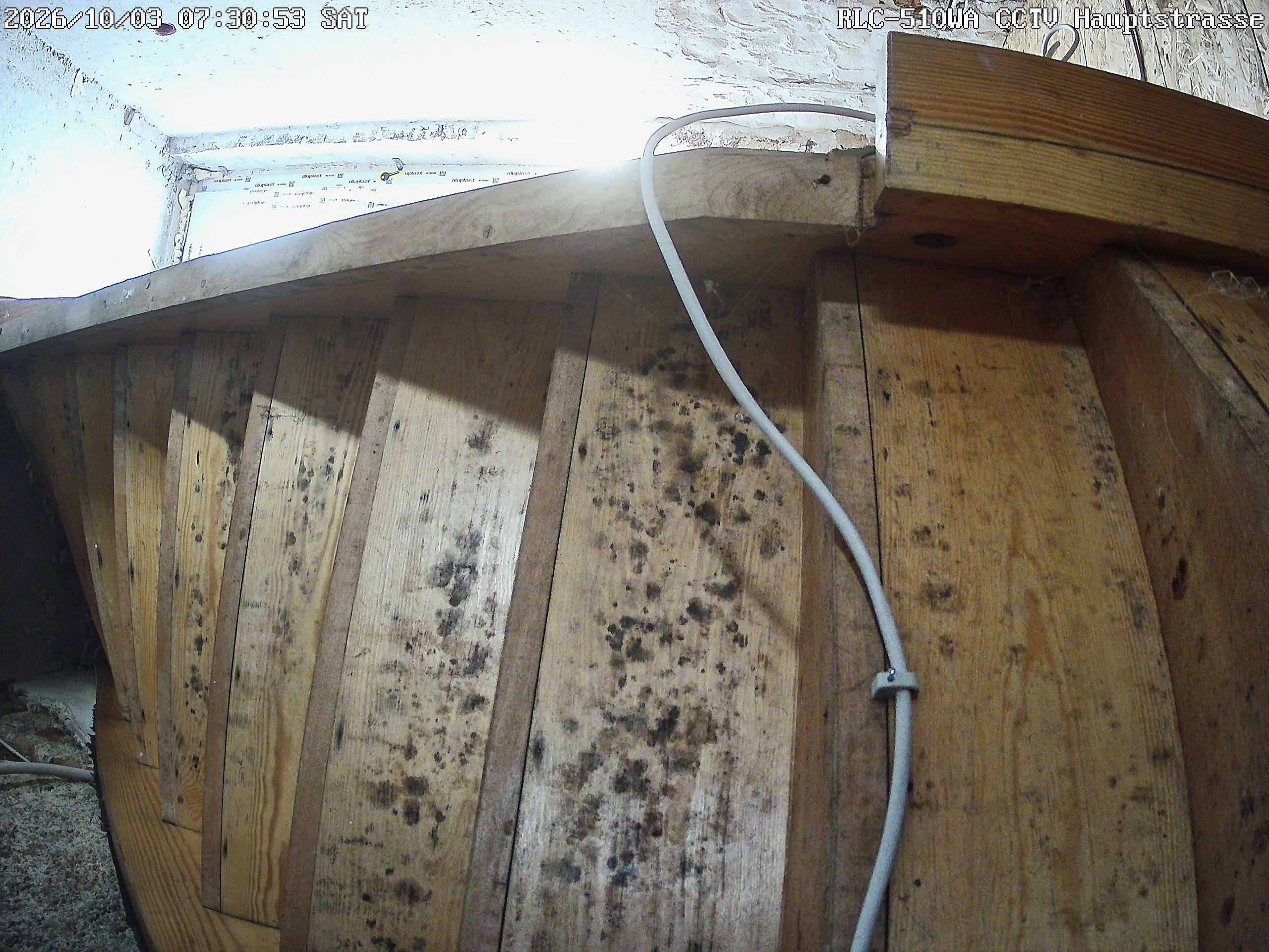 RLC-510WA CCTV Hauptstrasse_00_20261003073053.jpg